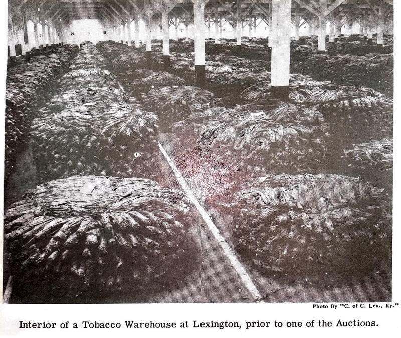 "Interior of a Tobacco Warehouse at Lexington, prior to one of the Auctions"